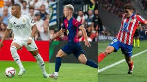 灰熊栖息地保护与生态平衡的重要性探讨及其未来生存挑战